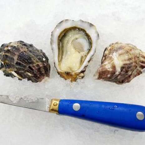Penn Cove Selelct Oysters