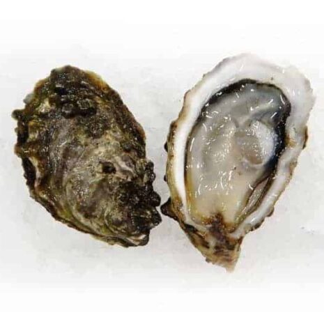 Rock Point Oysters