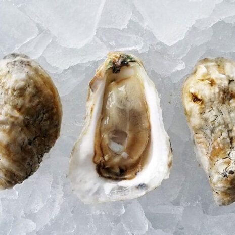 Holy-Grail-Oysters_